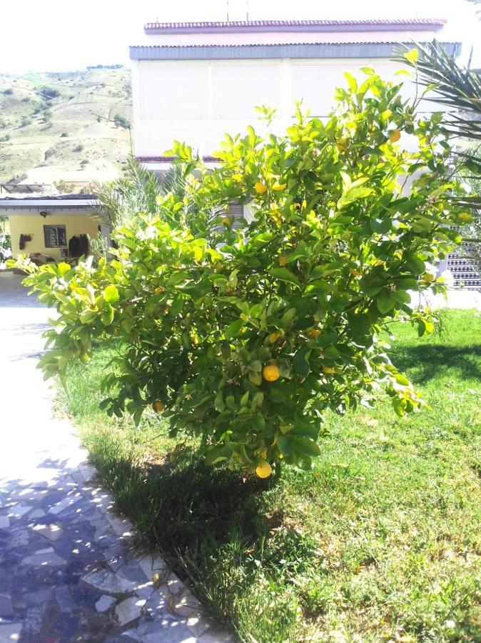 BELLE MAISON AU COEUR DES MONTAGNES DE TAZA à moins de 10 minutes de l'AGORA PARK Vila Exterior foto